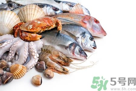 海鮮不能和什么一起吃？吃海鮮不能吃什么？