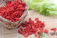 枸杞子泡酒怎么泡？枸杞酒的制作方法是什么？
