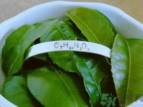 睡眠水為什么可以讓人入睡？可口可樂睡眠水有什么副作用？