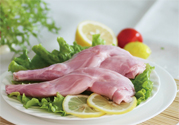 兔肉不能和什么一起吃？什么人不能吃兔肉？