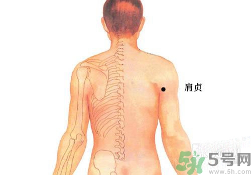 肩周炎艾灸有用嗎？肩周炎艾灸哪些部位？