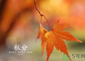 秋分吃什么？秋分吃什么水果？