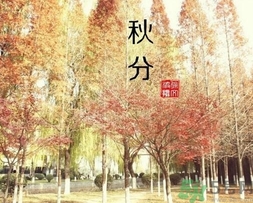 秋分吃什么？秋分吃什么水果？
