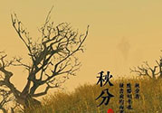 秋分吃什么？秋分吃什么水果？