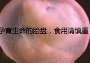 寶寶胎盤(pán)怎么處理比較好？?寶寶胎盤(pán)的功效與作用