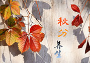 秋分喝什么茶？秋分養(yǎng)生茶飲推薦