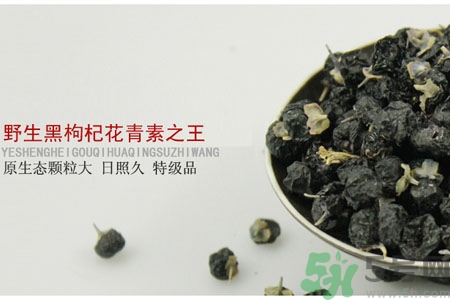 如何鑒別真假黑枸杞？黑枸杞價格多少？