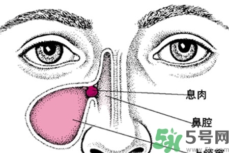 鼻子不通氣是怎么回事？鼻子不通氣怎么辦？