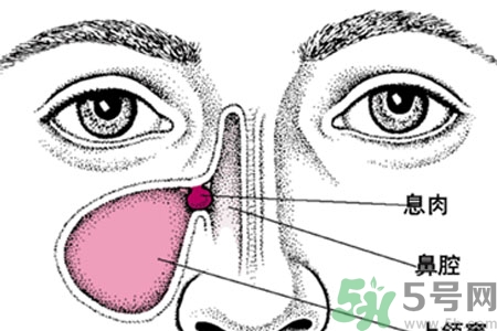 鼻子不通氣吃什么藥？鼻子不通氣的九個(gè)小妙招