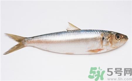 小黃魚(yú)怎么清洗?小黃魚(yú)怎么處理?