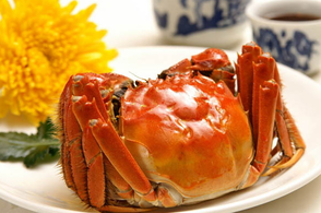 螃蟹什么季節(jié)最好吃？螃蟹幾月份吃最好？