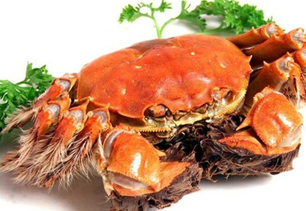 螃蟹什么季節(jié)最好吃？螃蟹幾月份吃最好？