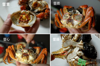 陽(yáng)澄湖大閘蟹怎么吃？食陽(yáng)澄湖大閘蟹注意事項(xiàng)