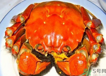 大閘蟹什么季節(jié)吃最好？吃大閘蟹的季節(jié)