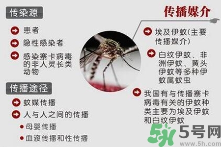 寨卡病毒會(huì)死人嗎？寨卡病毒會(huì)死嗎？