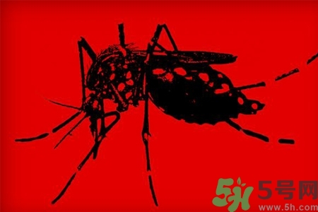 寨卡病毒會(huì)死人嗎？寨卡病毒會(huì)死嗎？