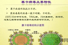寨卡病毒對孕婦有危害嗎？寨卡病毒對孕婦的危害有哪些？