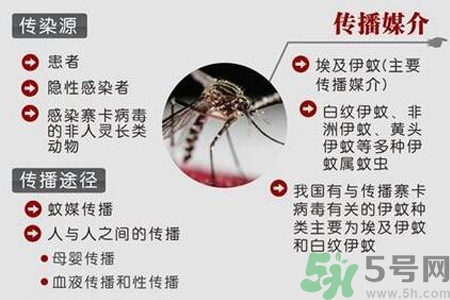寨卡病毒對孕婦有危害嗎？寨卡病毒對孕婦的危害有哪些？