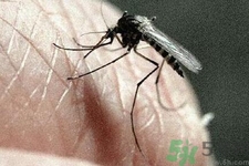 寨卡病毒對(duì)兒童的影響有哪些？寶寶如何避免及預(yù)防？