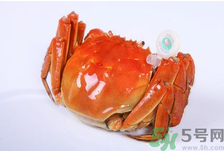 陽澄湖大閘蟹怎么做好吃？陽澄湖大閘蟹的做法