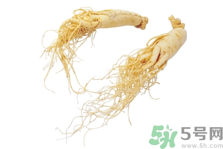 人參怎么吃效果最好？人參的做法大全