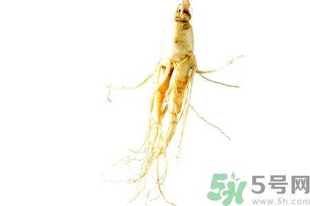 人參怎么吃效果最好？人參的做法大全