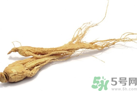 人參怎么吃效果最好？人參的做法大全