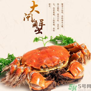 梁子湖大閘蟹什么時(shí)候上市？梁子湖大閘蟹上市時(shí)間