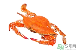 懷孕期間能吃螃蟹嗎？吃螃蟹會影響懷孕嗎？