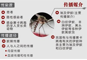 寨卡病毒對兒童的影響有哪些？寶寶如何避免及預(yù)防？