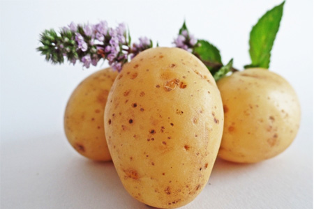 發(fā)芽的土豆怎么吃？土豆發(fā)芽了把芽削掉能吃嗎？