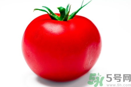 番茄和西紅柿有什么區(qū)別？番茄和西紅柿一樣嗎？