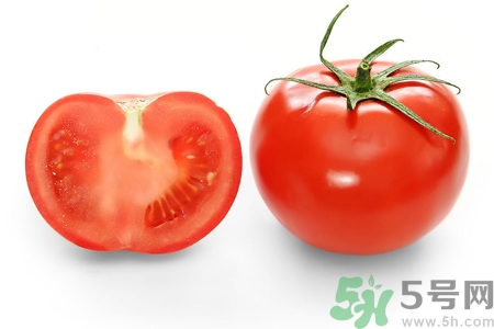番茄和西紅柿有什么區(qū)別？番茄和西紅柿一樣嗎？