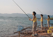 火腿腸可以釣魚(yú)嗎?火腿腸釣魚(yú)效果怎么樣?