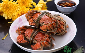 海蟹什么時候最肥？海蟹什么時候吃最好？