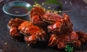 陽(yáng)澄湖大閘蟹死了還能吃嗎？陽(yáng)澄湖大閘蟹死了為什么不能吃？