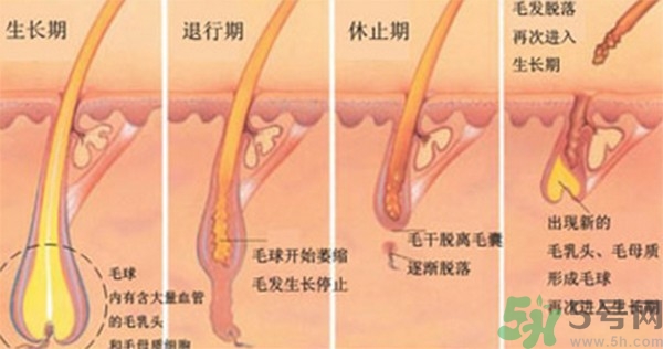 紋眉后要補色嗎？紋眉后多久可以補色？