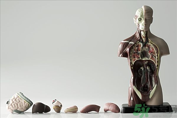 腸炎肚子疼怎么辦？腸炎肚子疼怎么緩解？