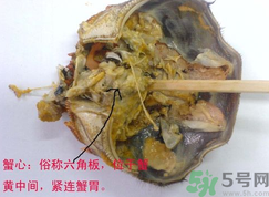 梭子蟹哪些部位不能吃？梭子蟹哪些人不能吃？