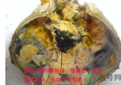 梭子蟹哪些部位不能吃？梭子蟹哪些人不能吃？