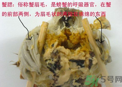 梭子蟹哪些部位不能吃？梭子蟹哪些人不能吃？