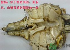 梭子蟹哪些部位不能吃？梭子蟹哪些人不能吃？