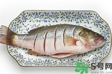 秋季適合吃什么魚？秋季吃魚的好處？