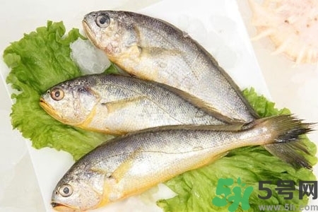 秋季適合吃什么魚？秋季吃魚的好處？