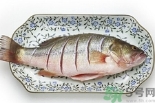 如何挑選新鮮魚？怎樣吃到不被污染的魚？