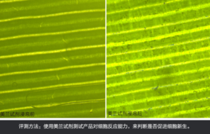 sk2大眼眼霜怎么樣？sk2大眼眼霜好用嗎？
