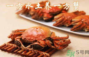 盤錦河蟹和陽澄湖大閘蟹的區(qū)別？盤錦河蟹和陽澄湖大閘蟹哪個比較好吃？