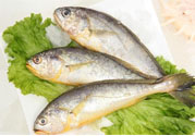 如何挑選新鮮魚？怎樣吃到不被污染的魚？