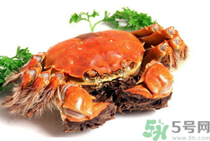 陽澄湖大閘蟹是河蟹嗎？陽澄湖大閘蟹和河蟹的區(qū)別