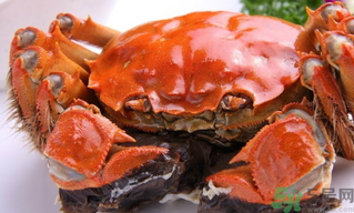 陽澄湖大閘蟹好吃嗎？陽澄湖大閘蟹為什么好吃？